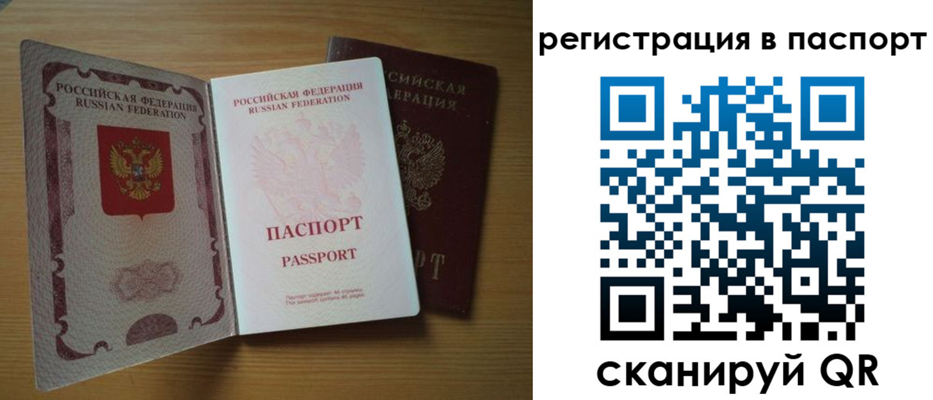 прописка для школы в Фокино